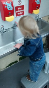 Our son likes our local butterfly farm both because he enjoys looking at the butterflies and also because he finds it fun to play in the numerous sinks!
