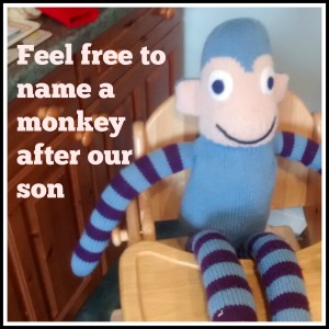 Feel free to name a monkey after our son