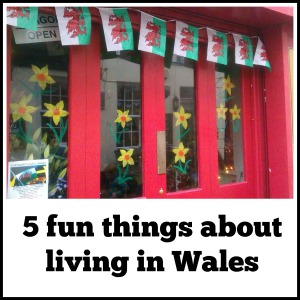 5 fun things about living in Wales